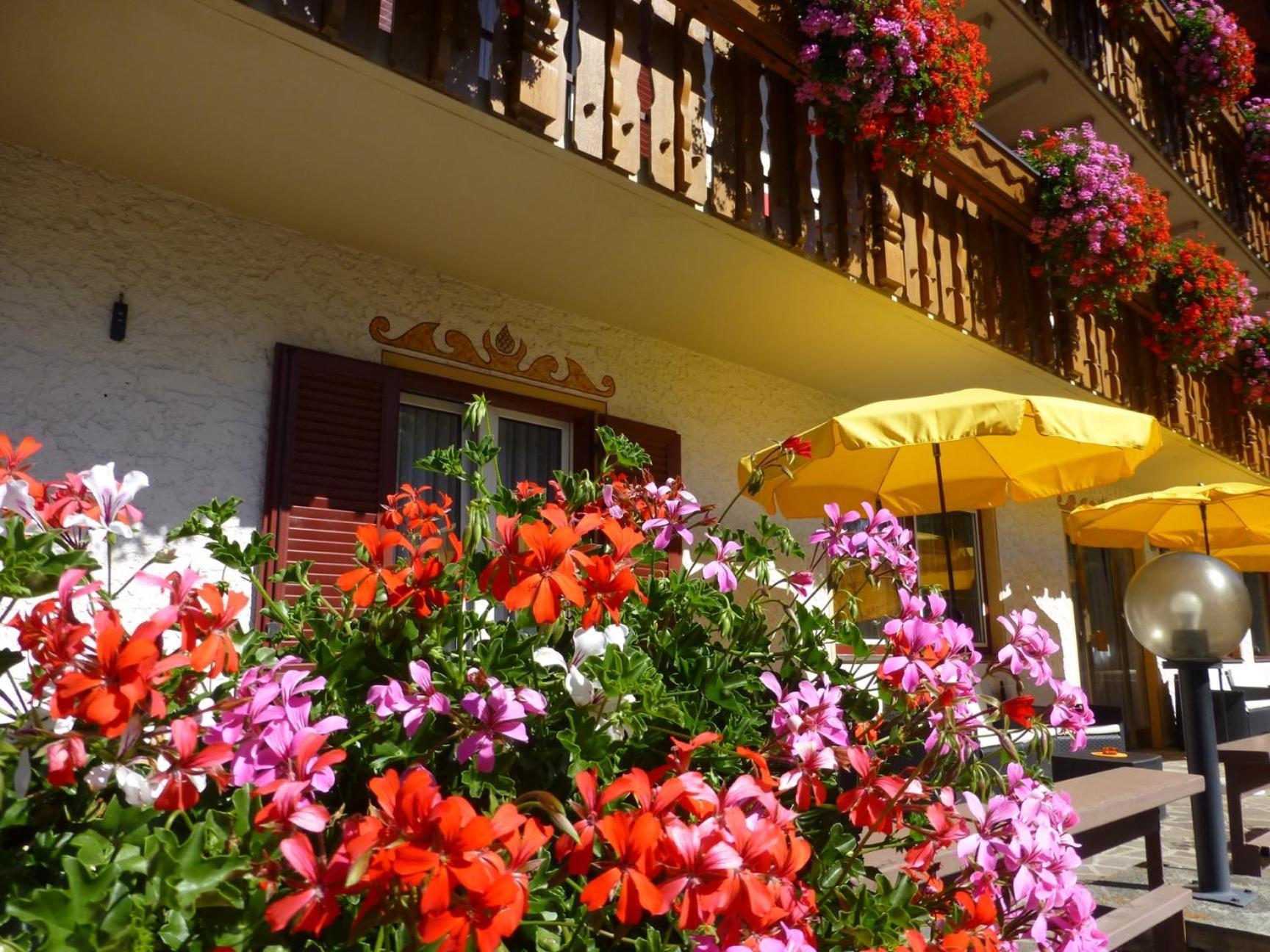 Garni Helfer Dobbiaco Exterior foto